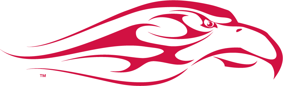 Liberty Flames 2003-2013 Secondary Logo iron on transfers for T-shirts